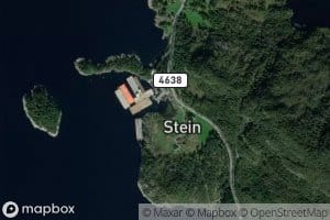 Steinvig