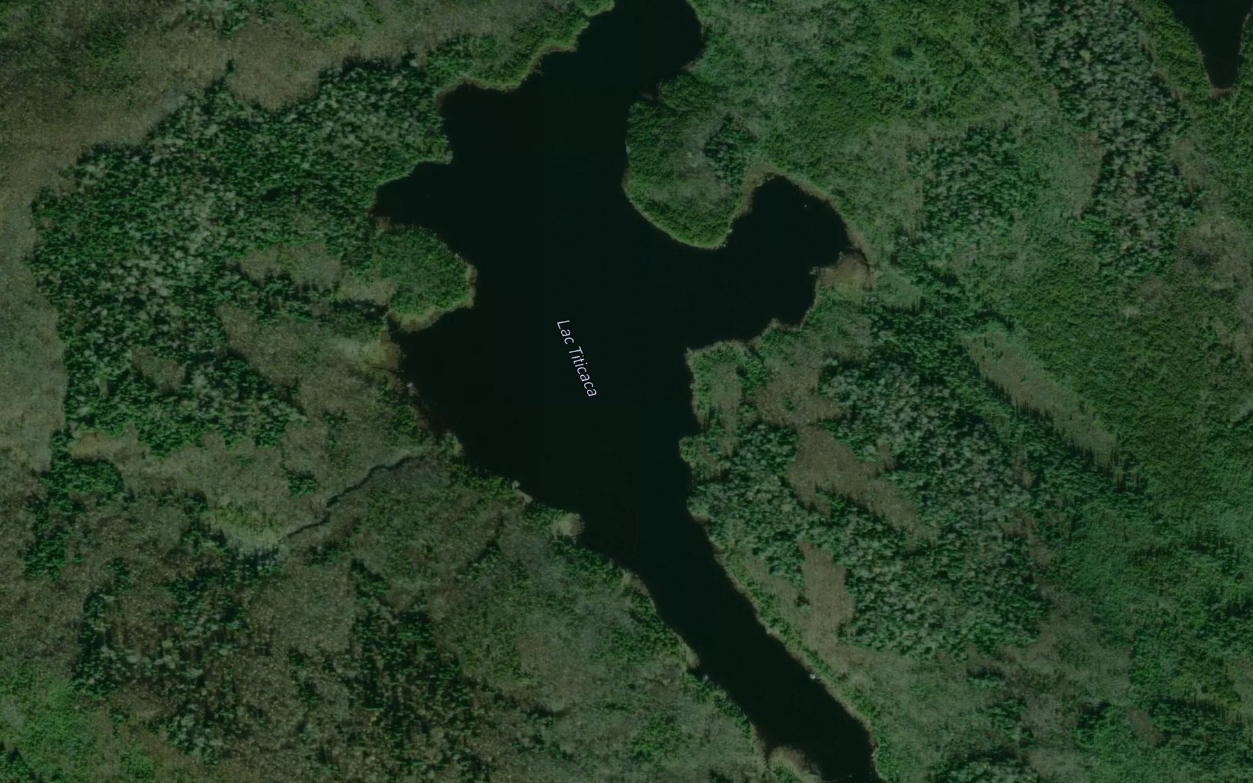 Satellite map of the Lac Titicaca