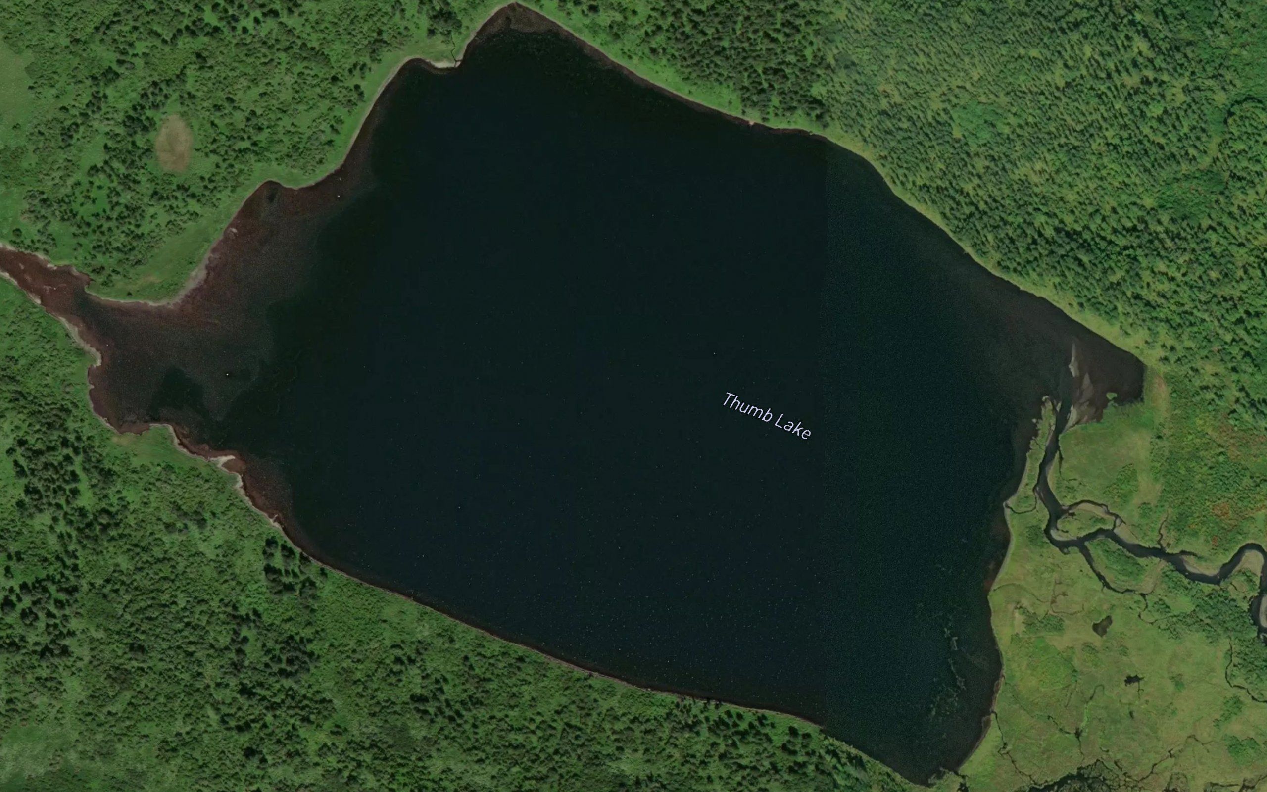Thumb Lake