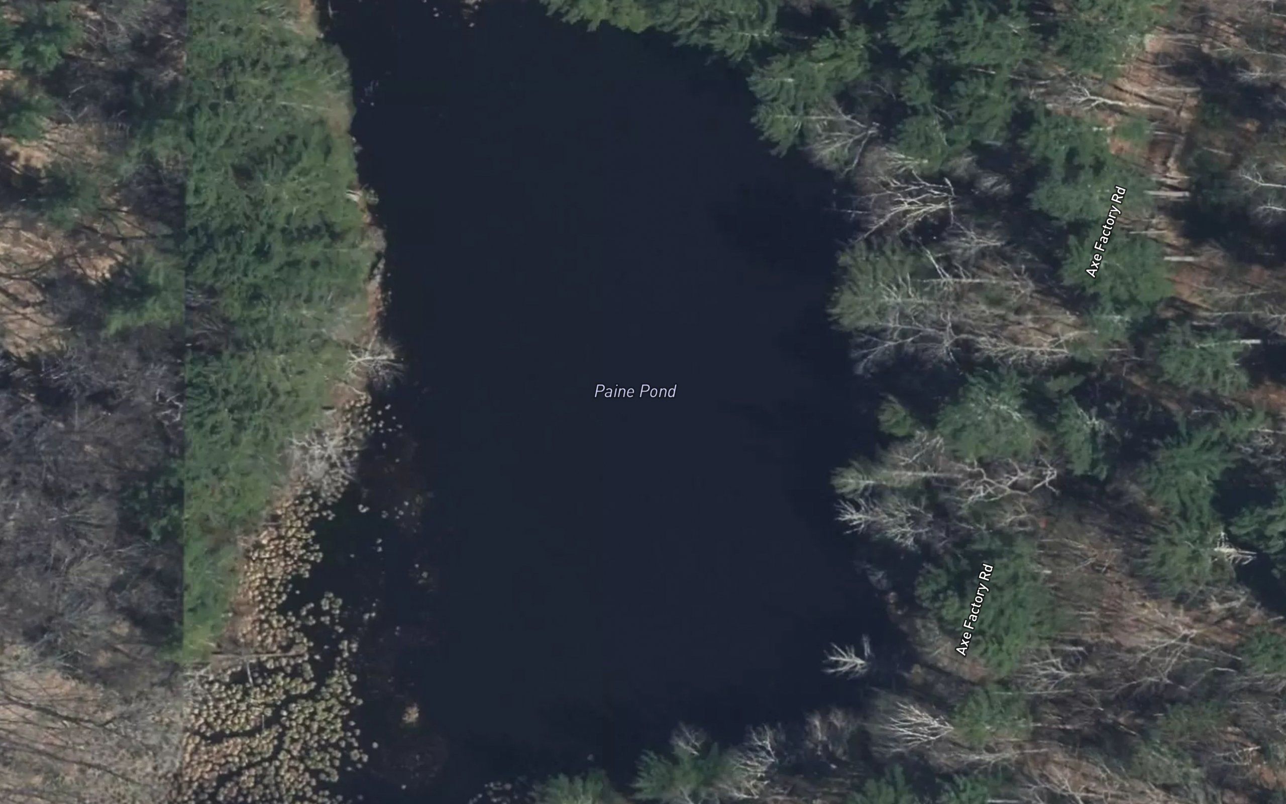 Paine Pond
