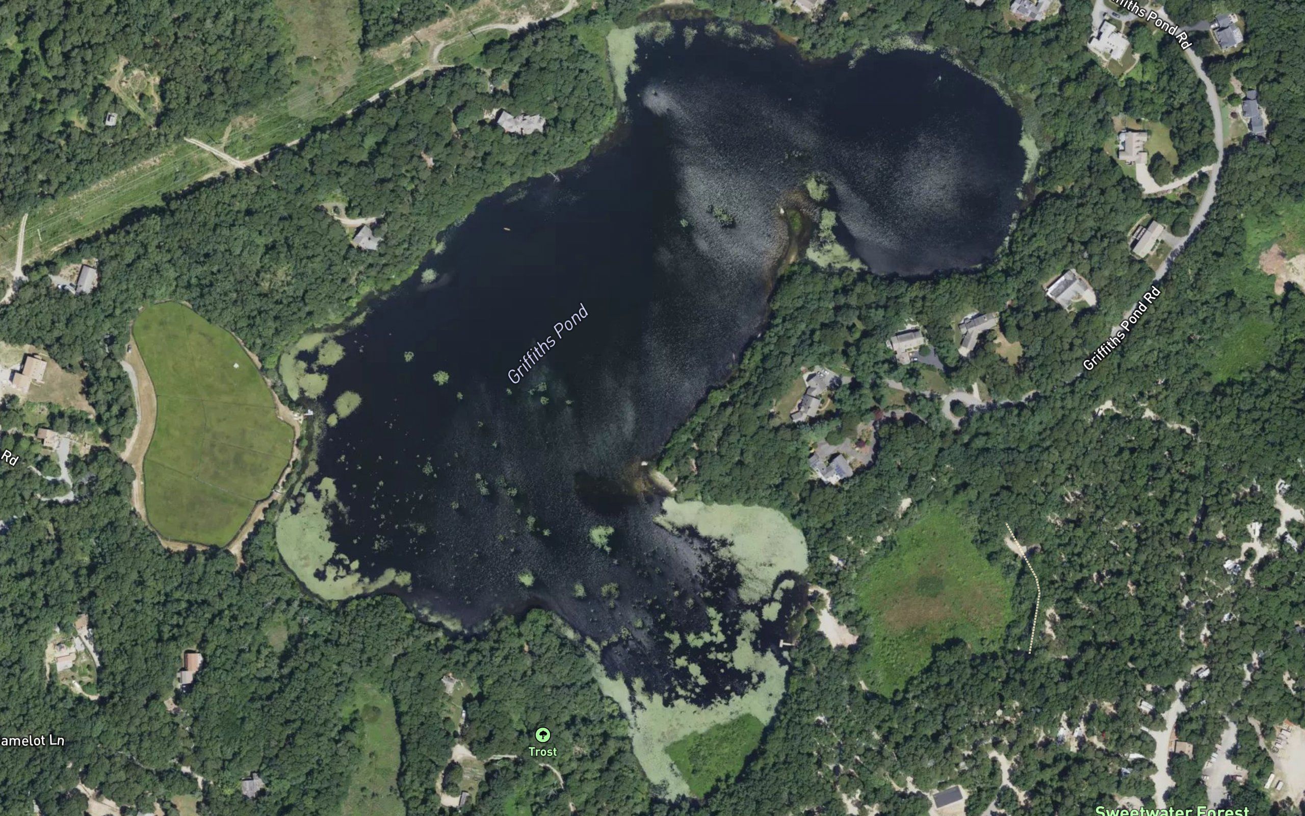 Griffiths Pond