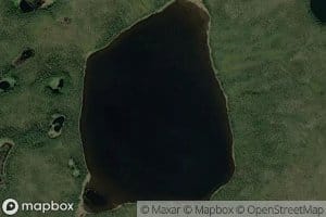 Live Trap Lake