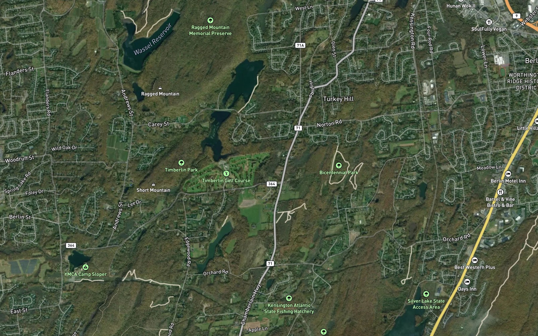 Satellite map of the John Hall Brook