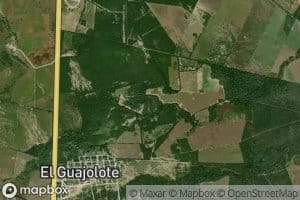 El Guajolote