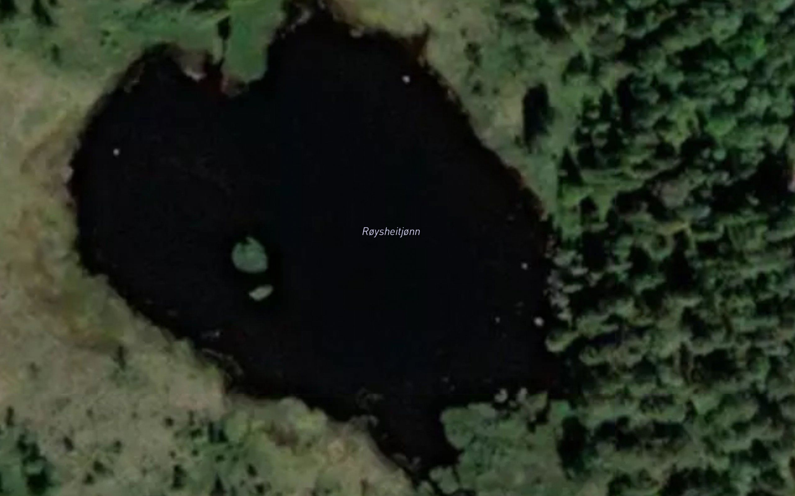 Roysheitjorn