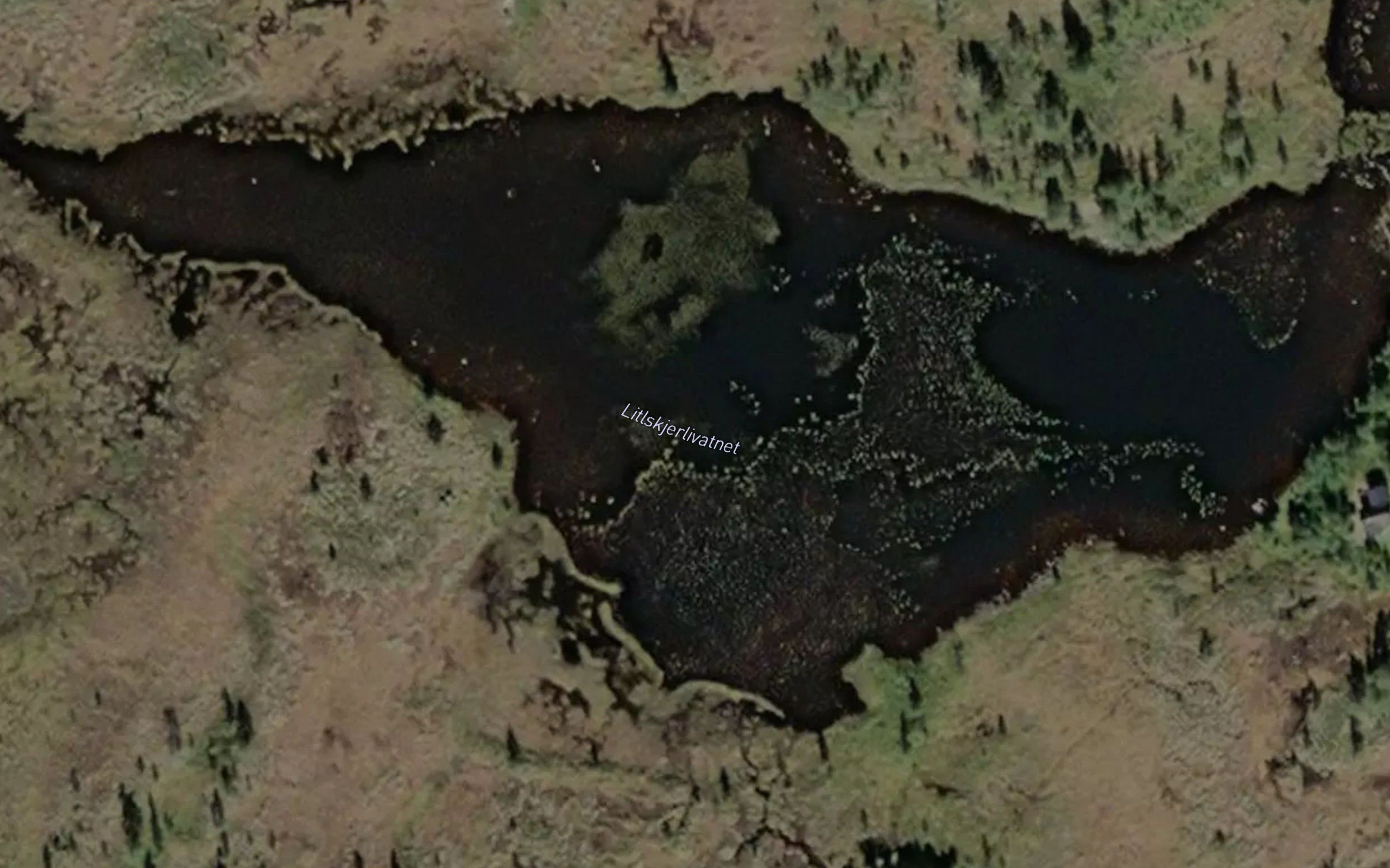 Litlskjerlivatnet