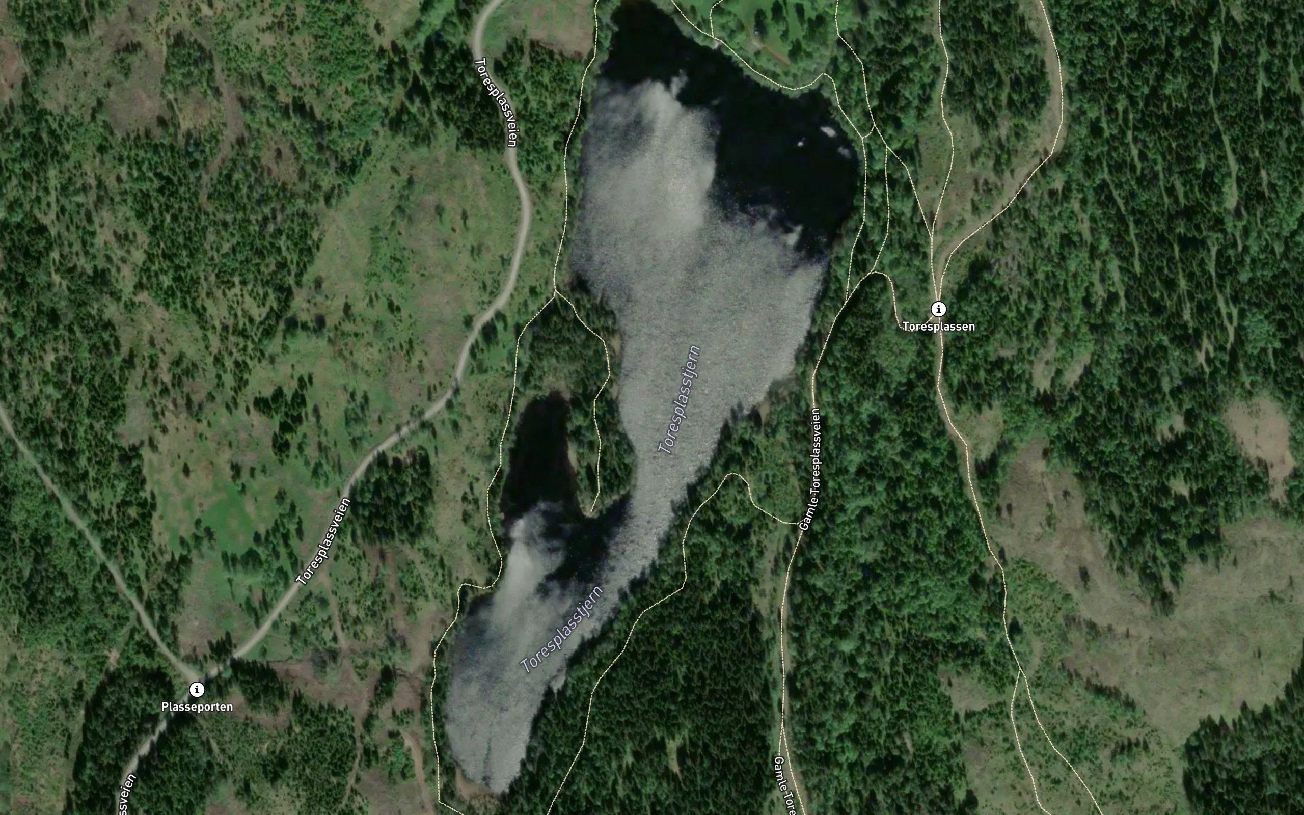 Plassevatnet