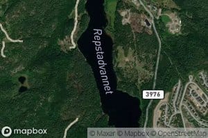 Repstadvannet