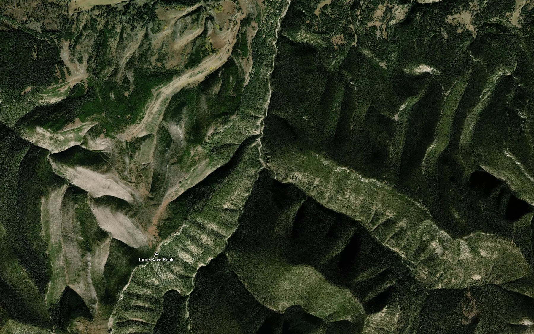 Satellite map of the West Fork Cottonwood Creek