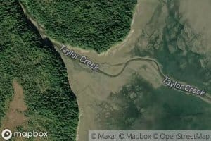 Taylor Creek