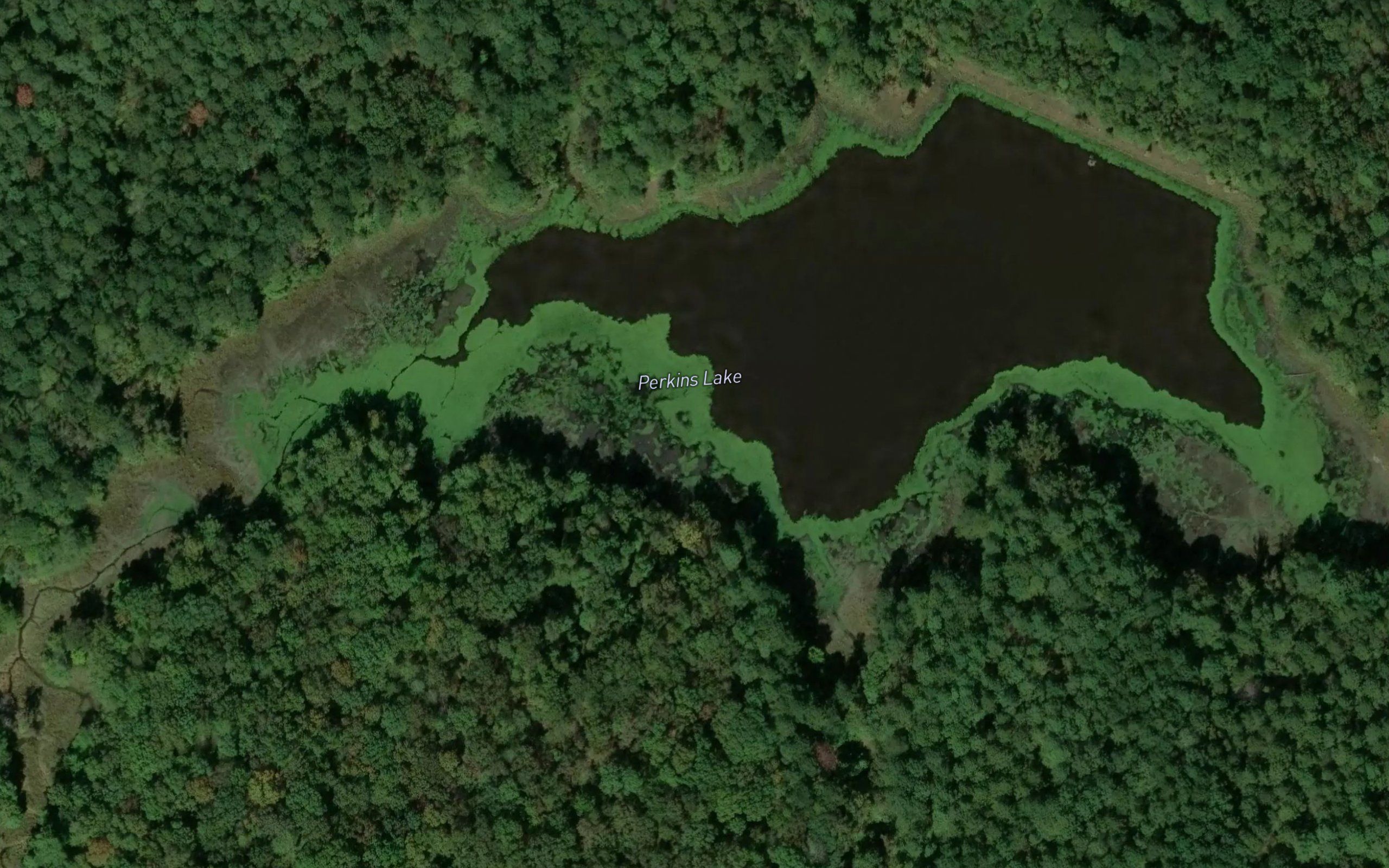Perkins Lake