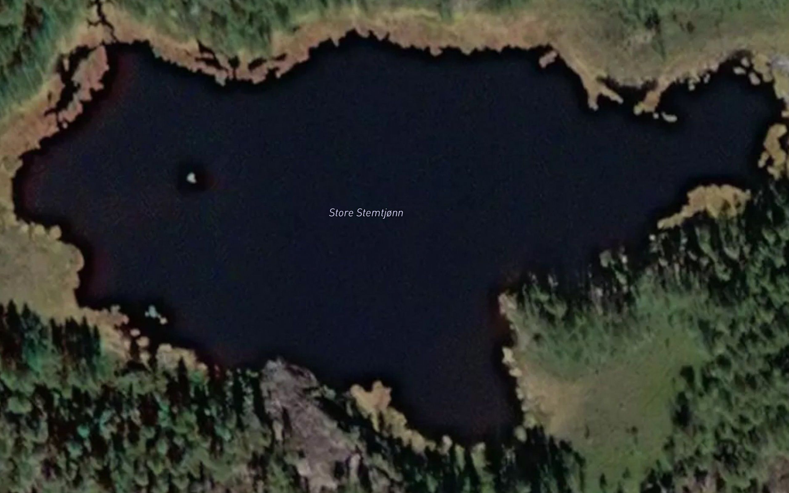 Stemtjorn,nedre