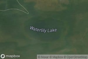 Waterlily Lake