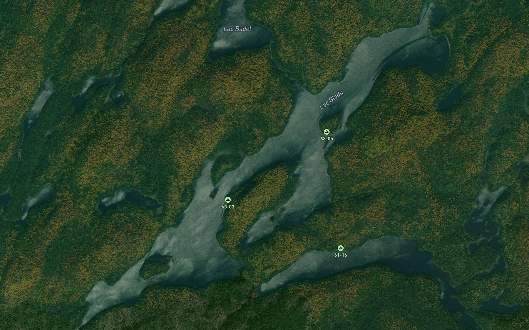 Satellite map of the Lac Gladu