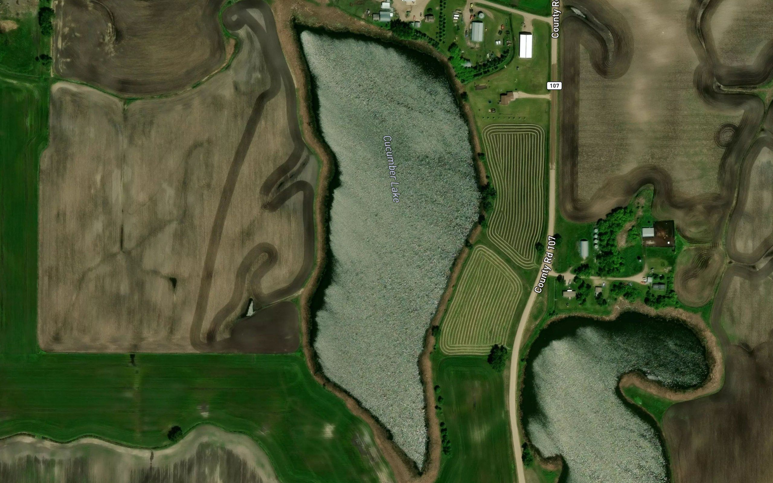 Cucumber Lake