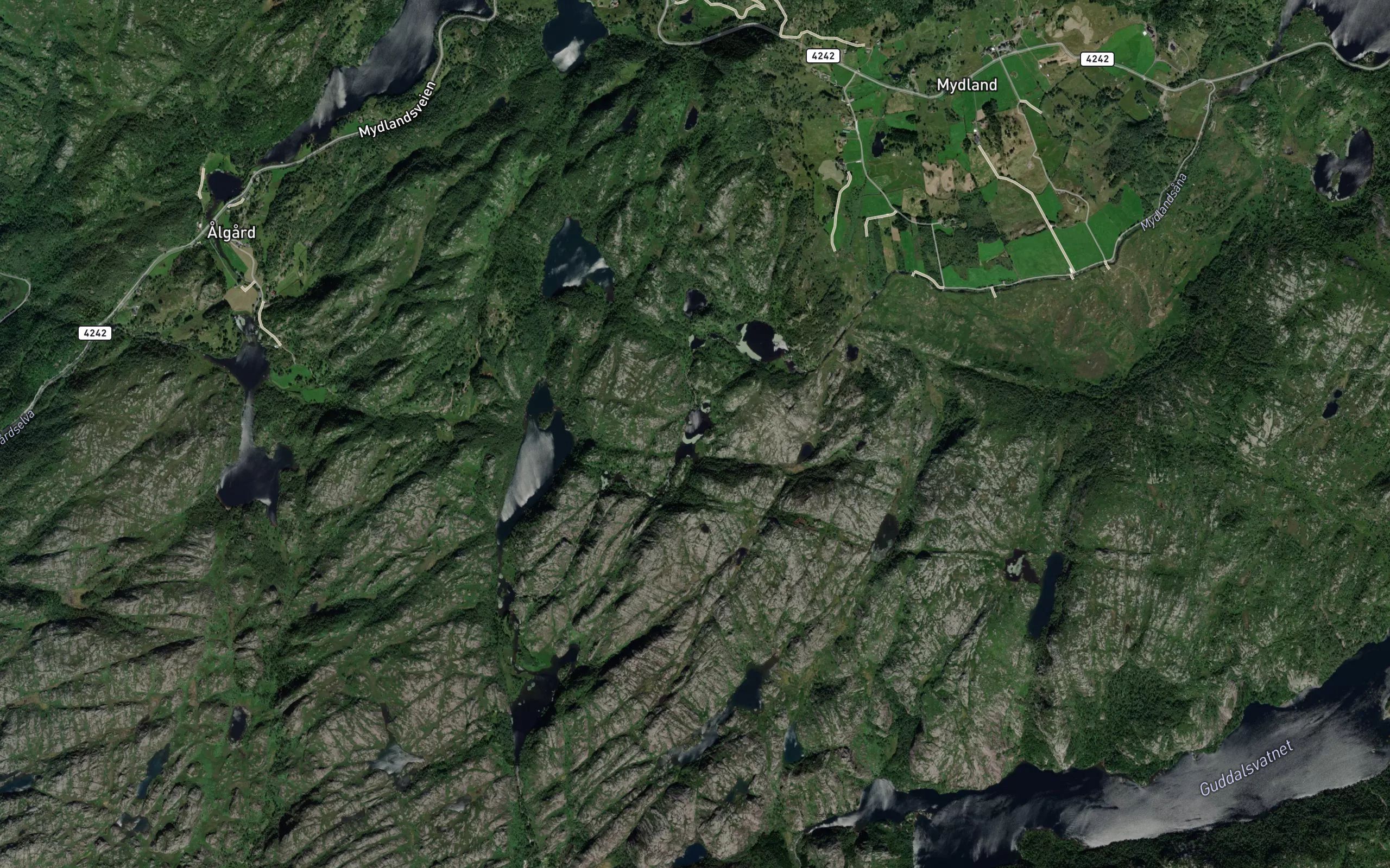 Svartholen