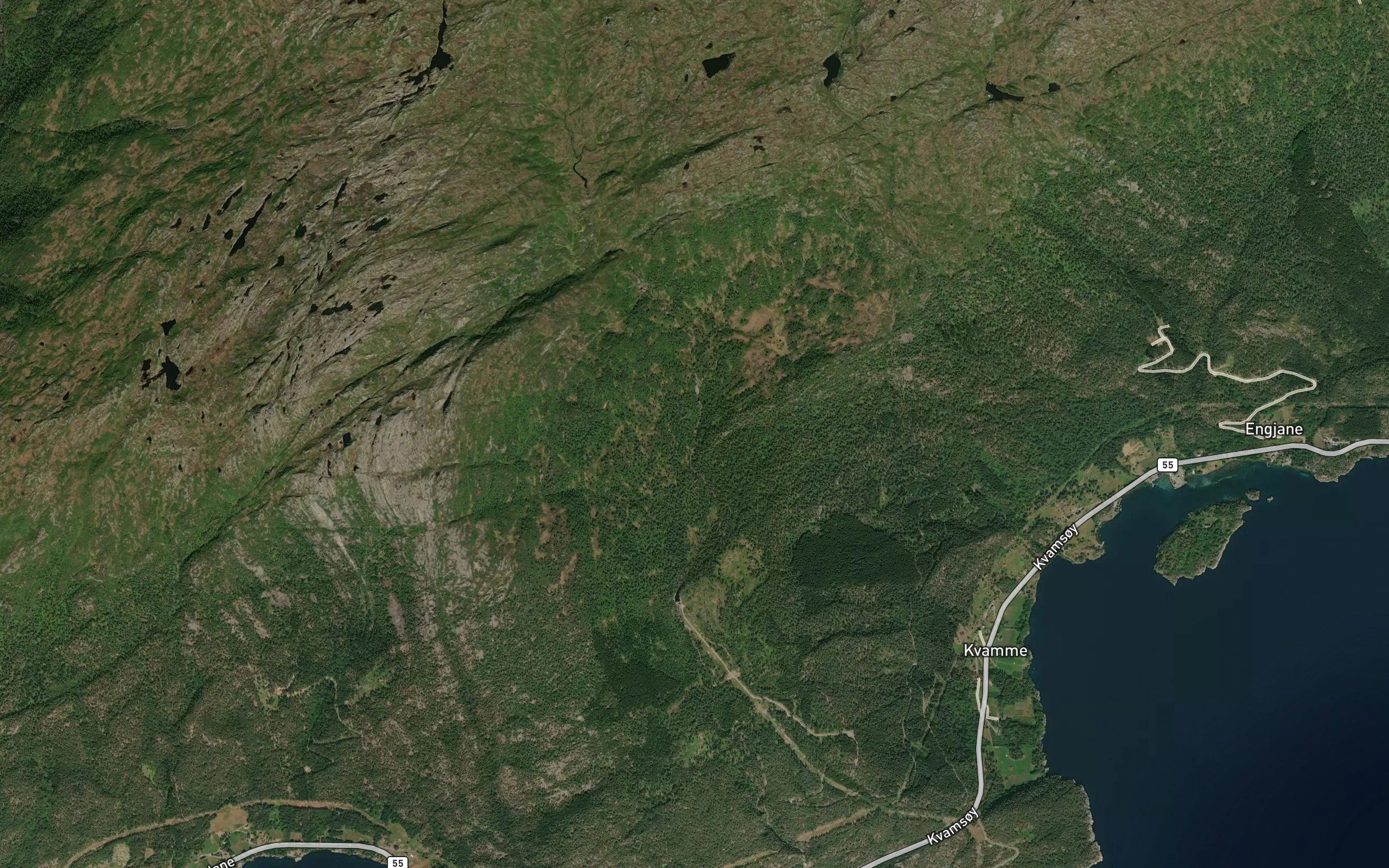 Skorga