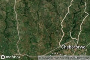 Chebororwa
