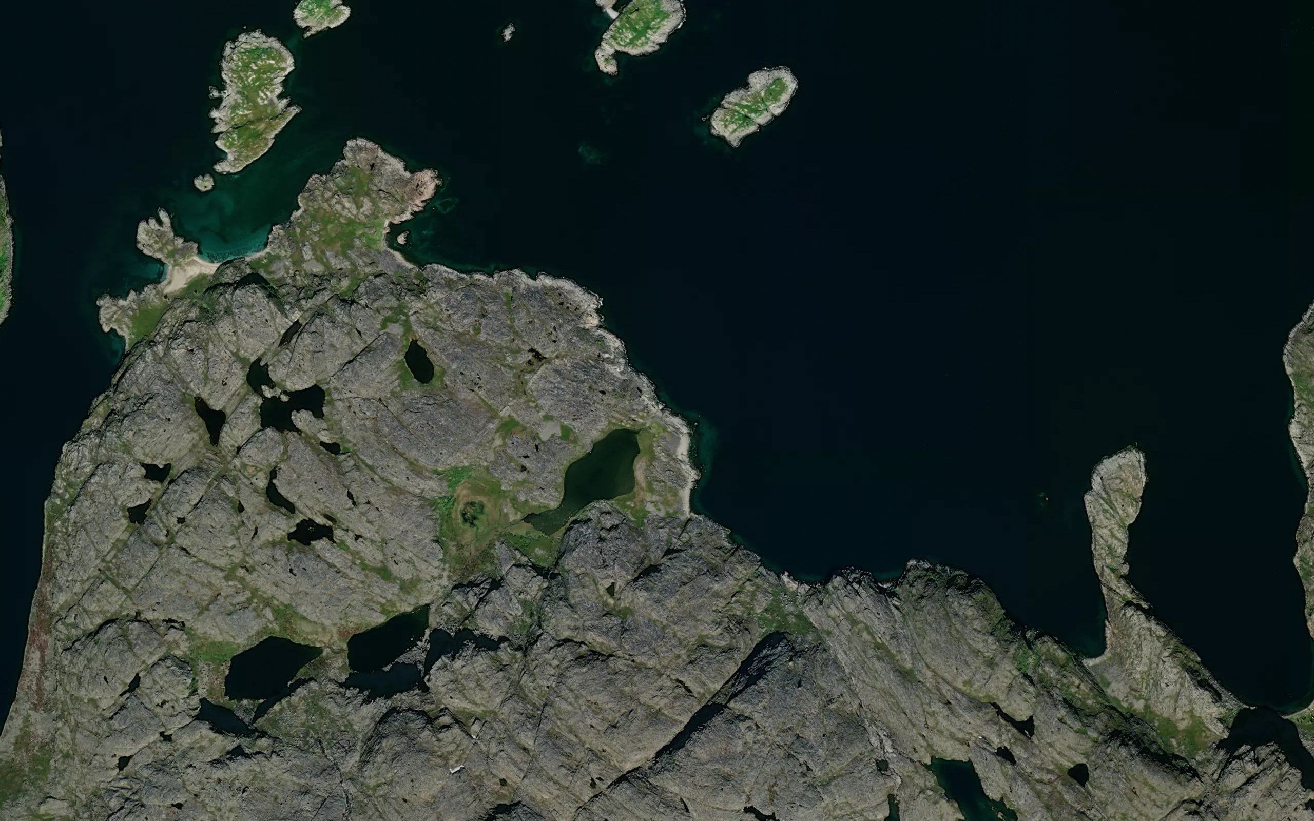 Gavdavakki
