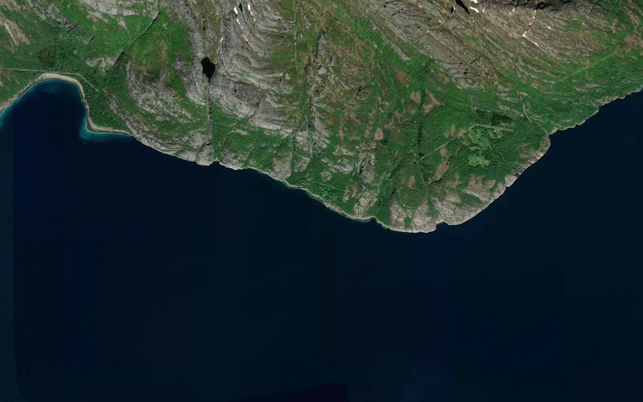 Hammarheivika