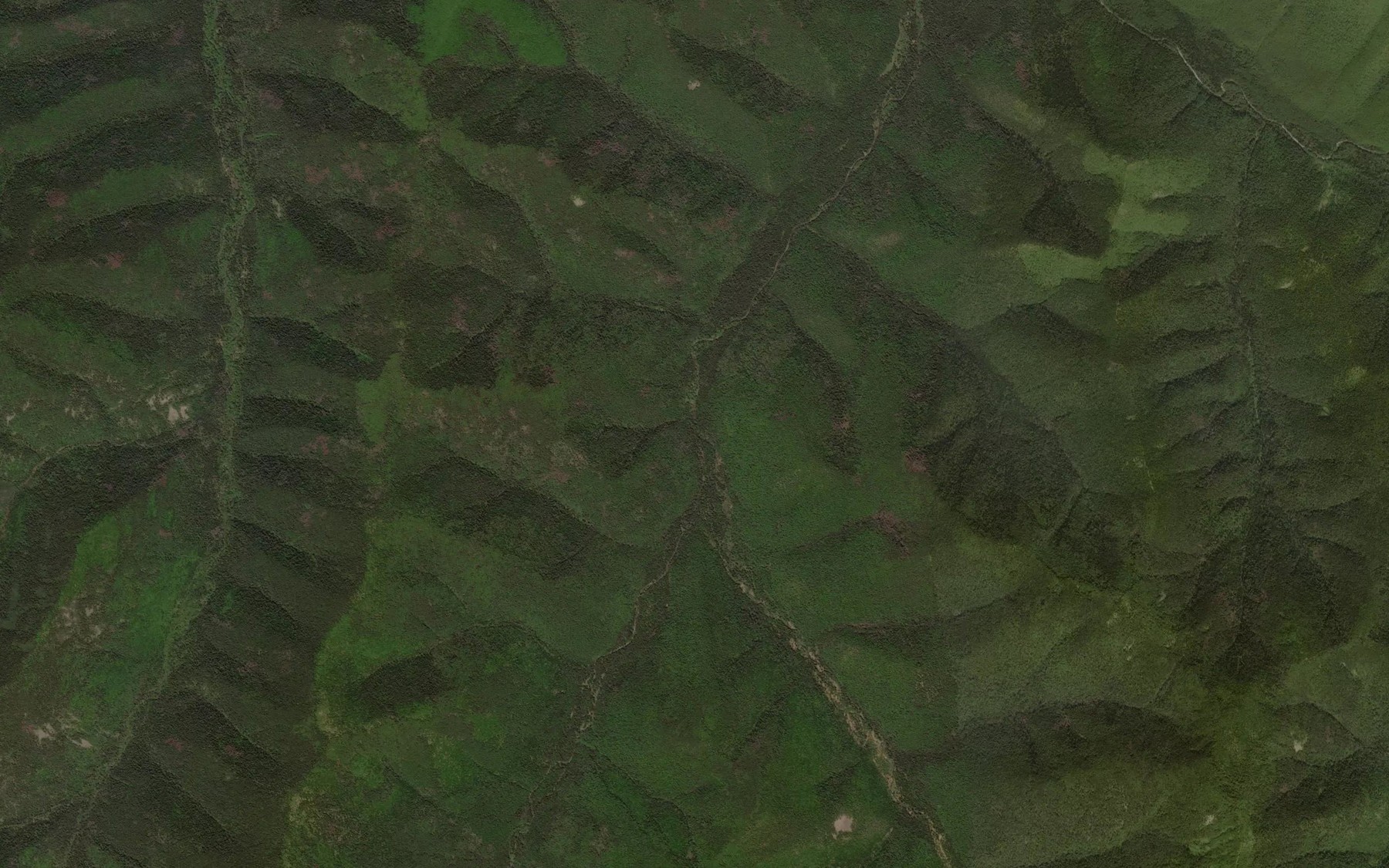 Satellite map of the Marshrutnyy