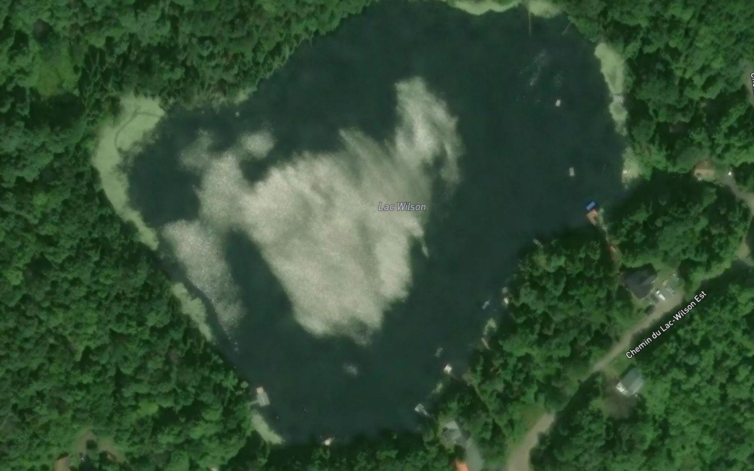 Lac Wilson
