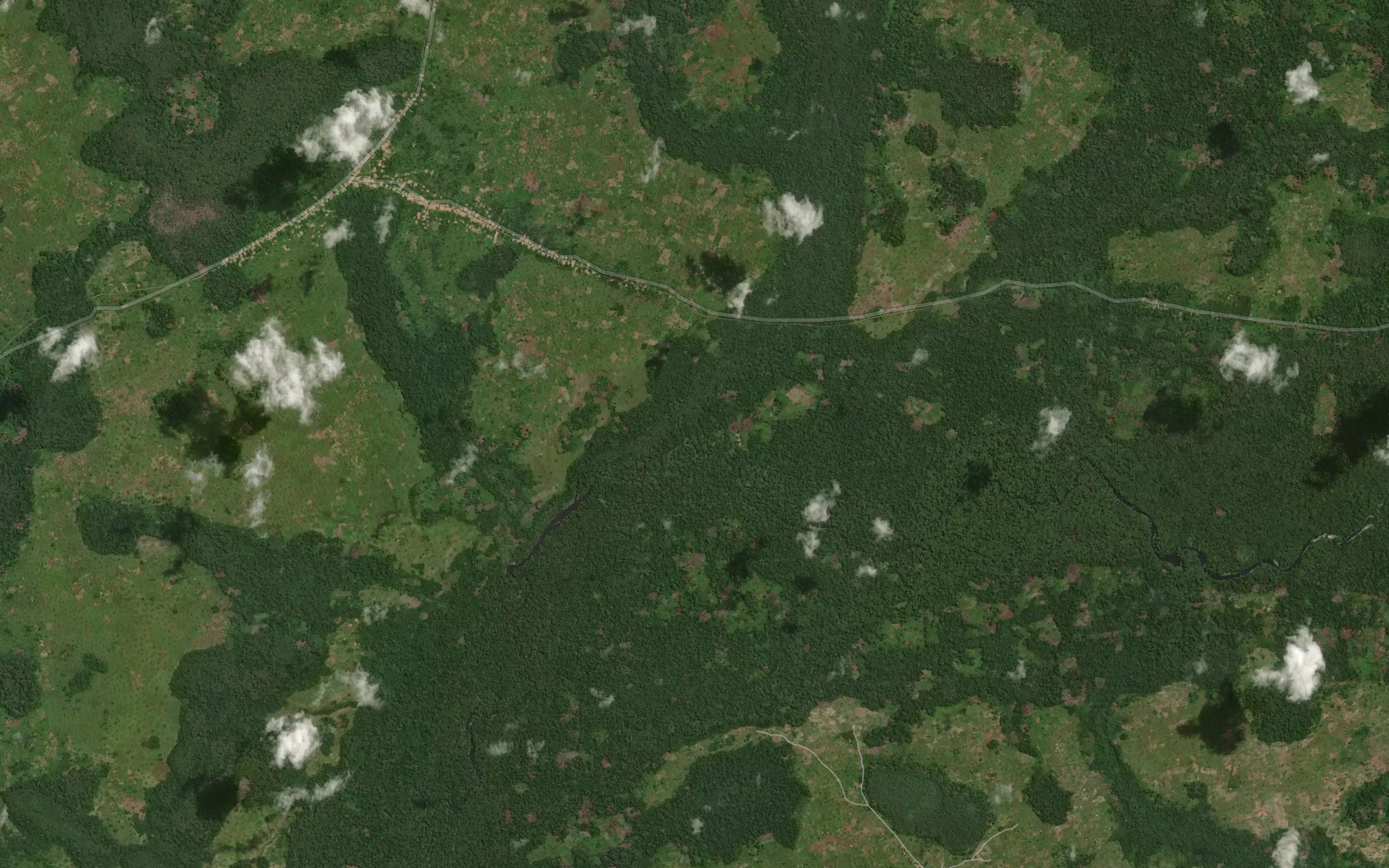 Tamba