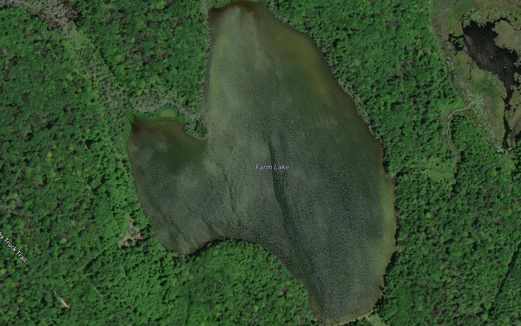 Satellite map of the Farm Lake