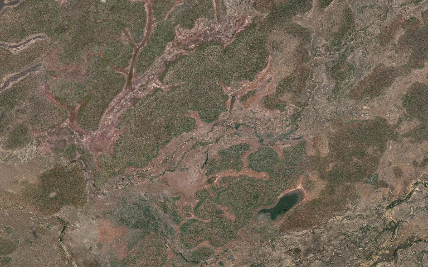 Satellite map of the Coota Creek
