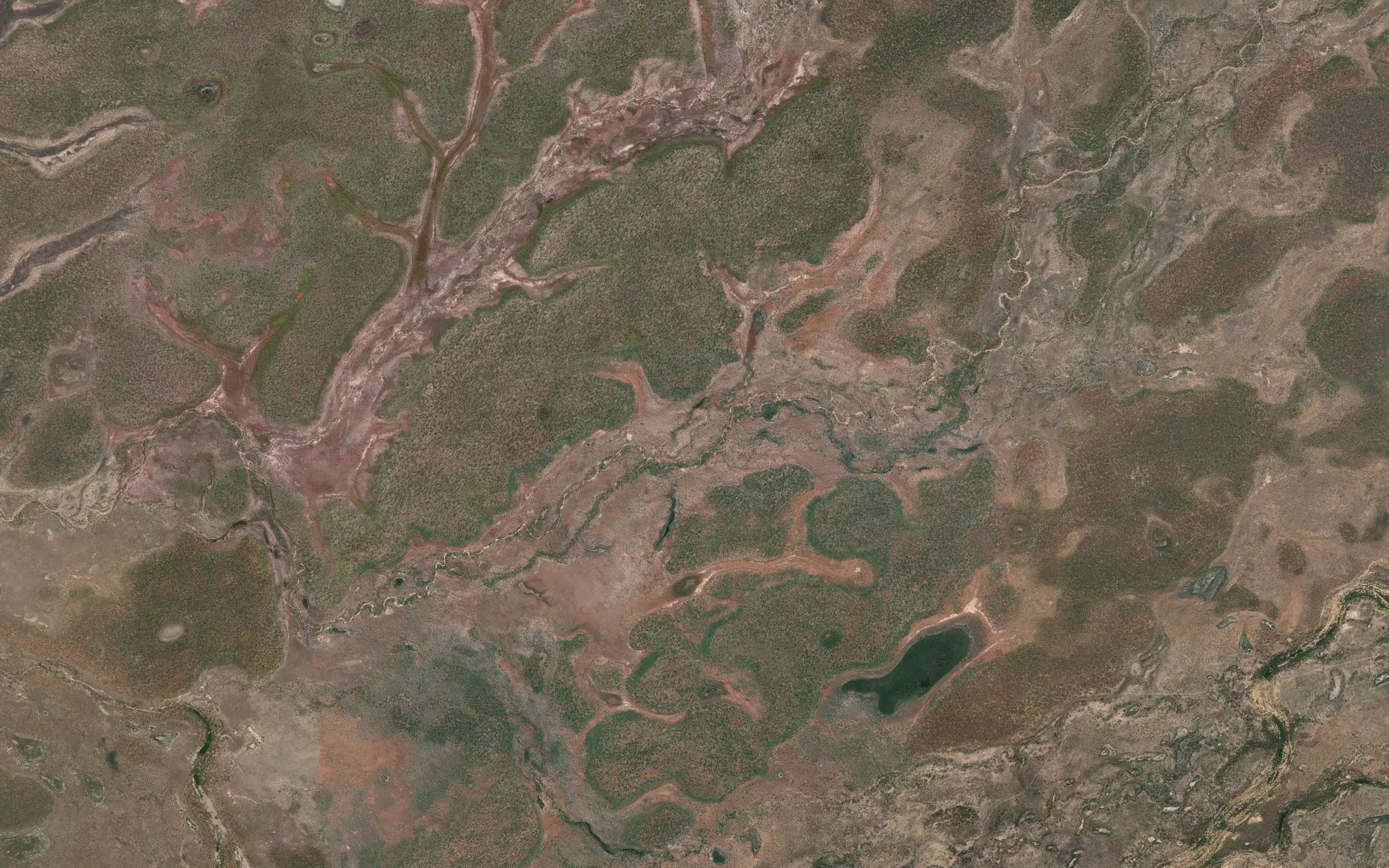 Coota Creek