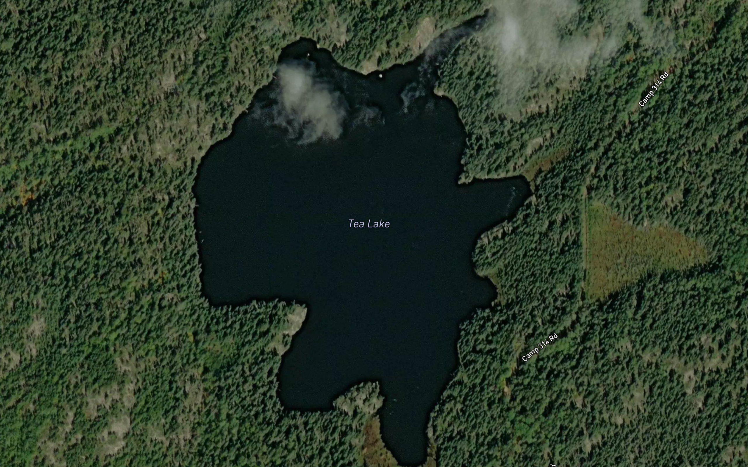 Tea Lake