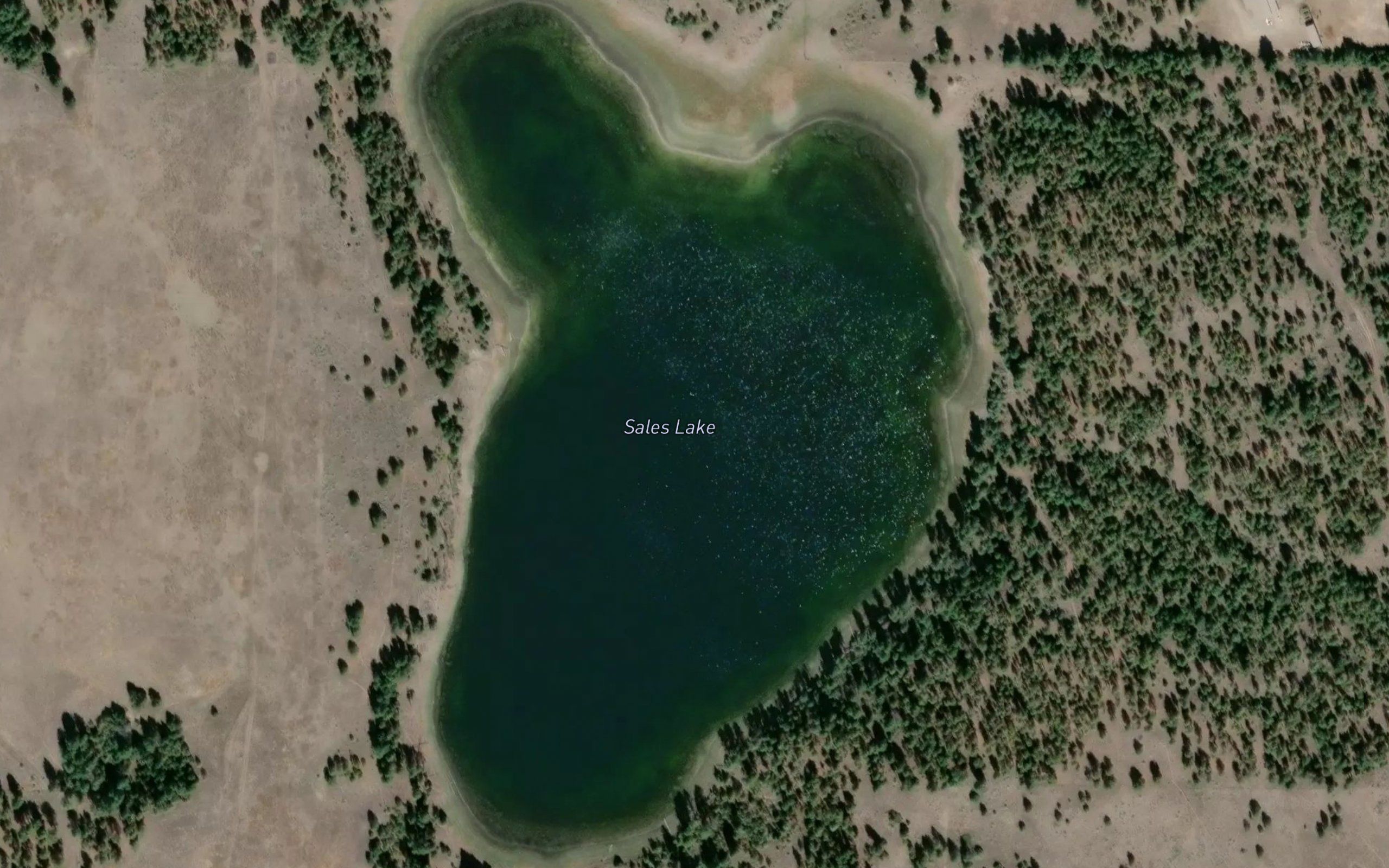 Sales Lake