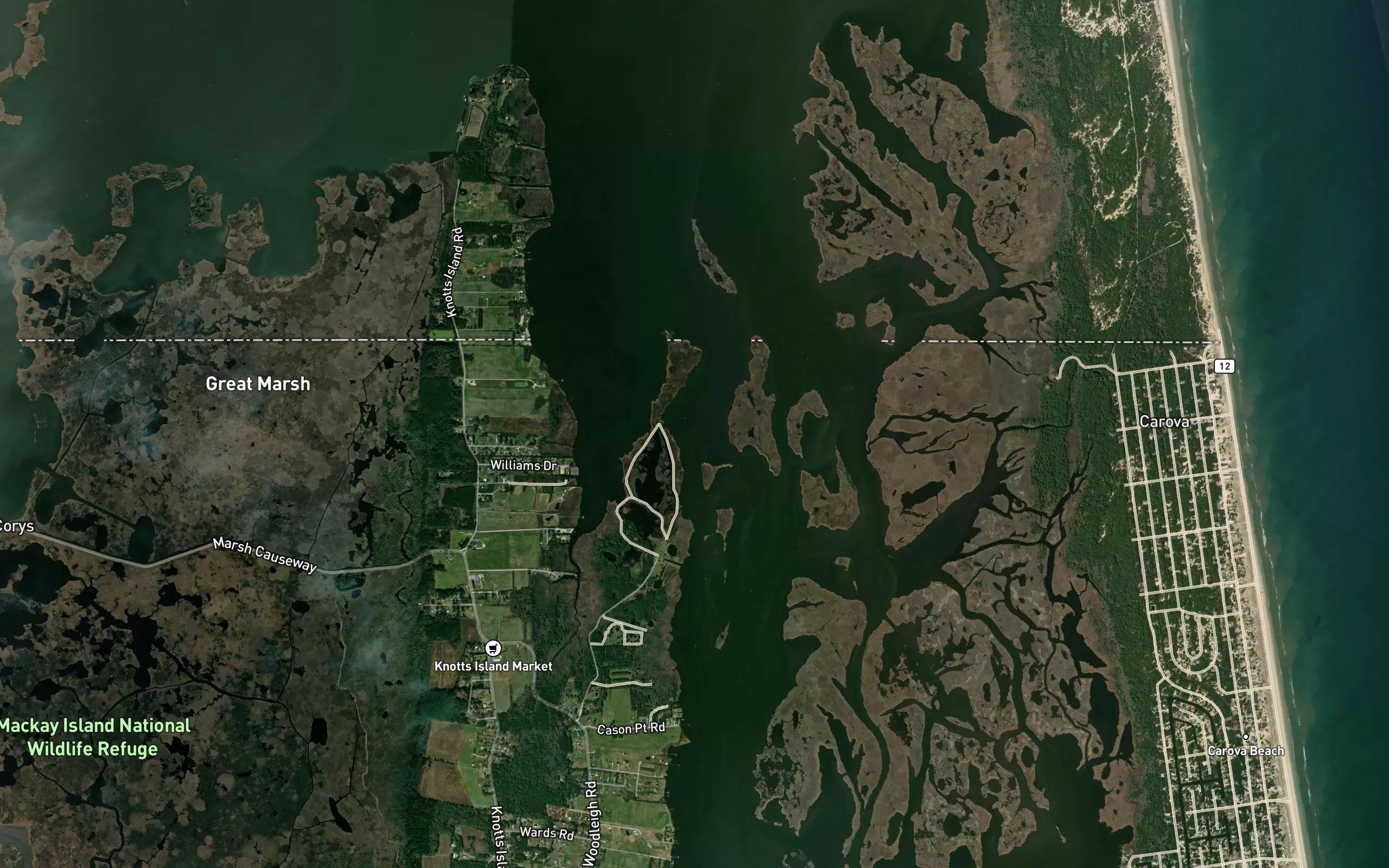 Porpoise Slough