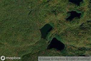 Nellie Pond