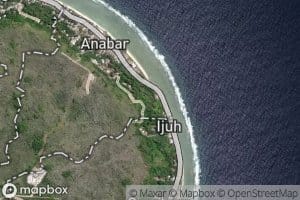 Mangrove Swamps