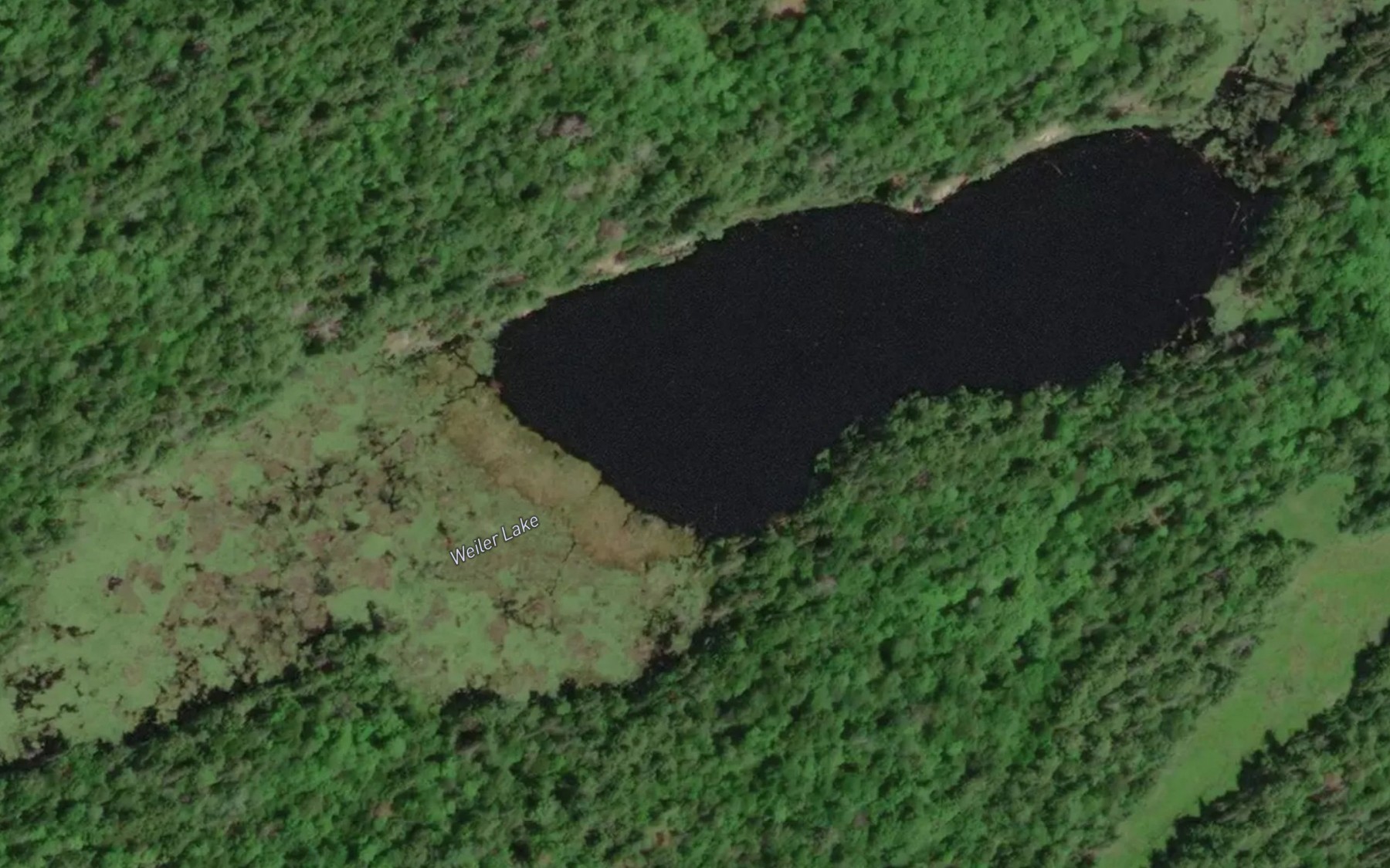 Satellite map of the Weiler Lake