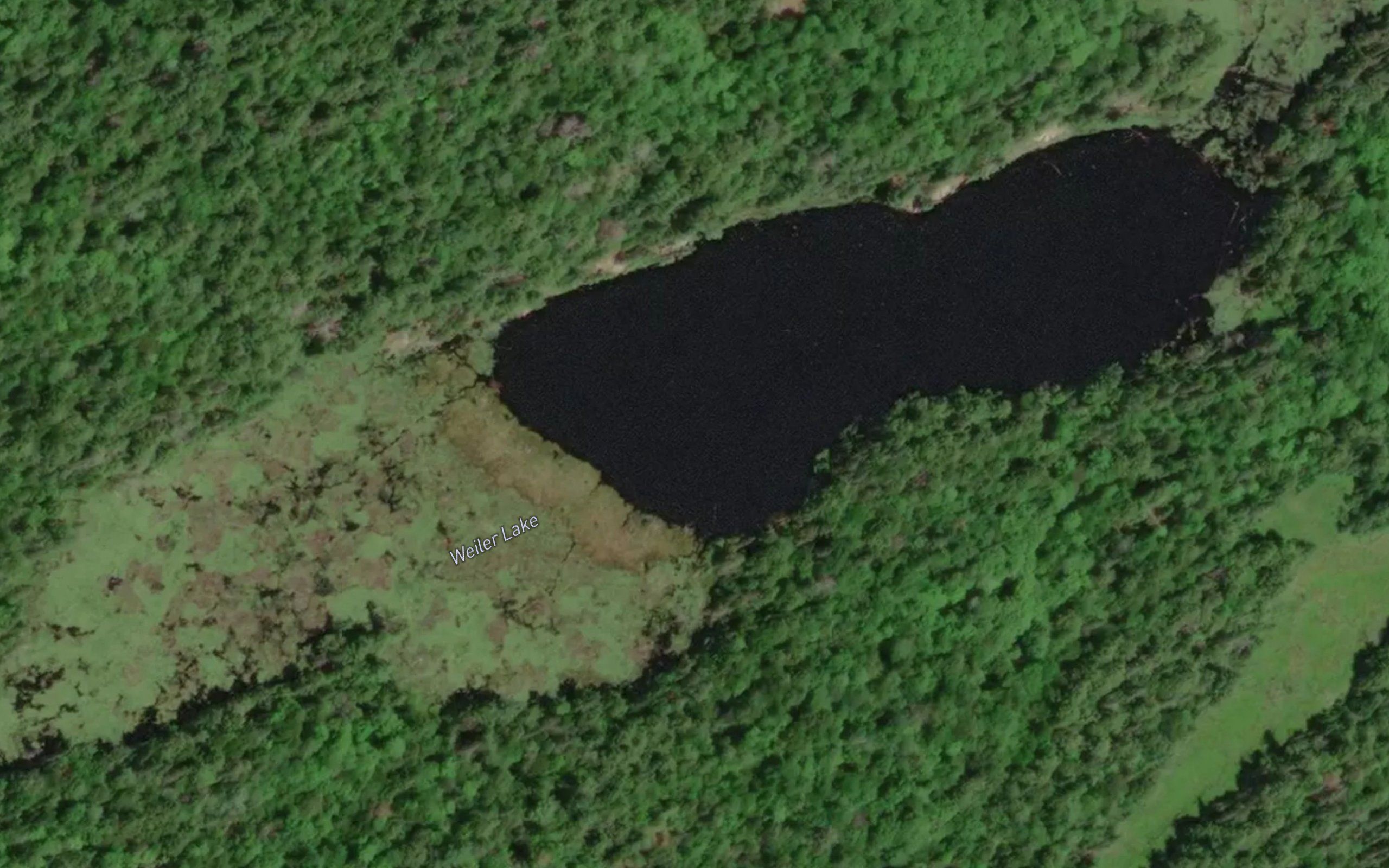 Weiler Lake