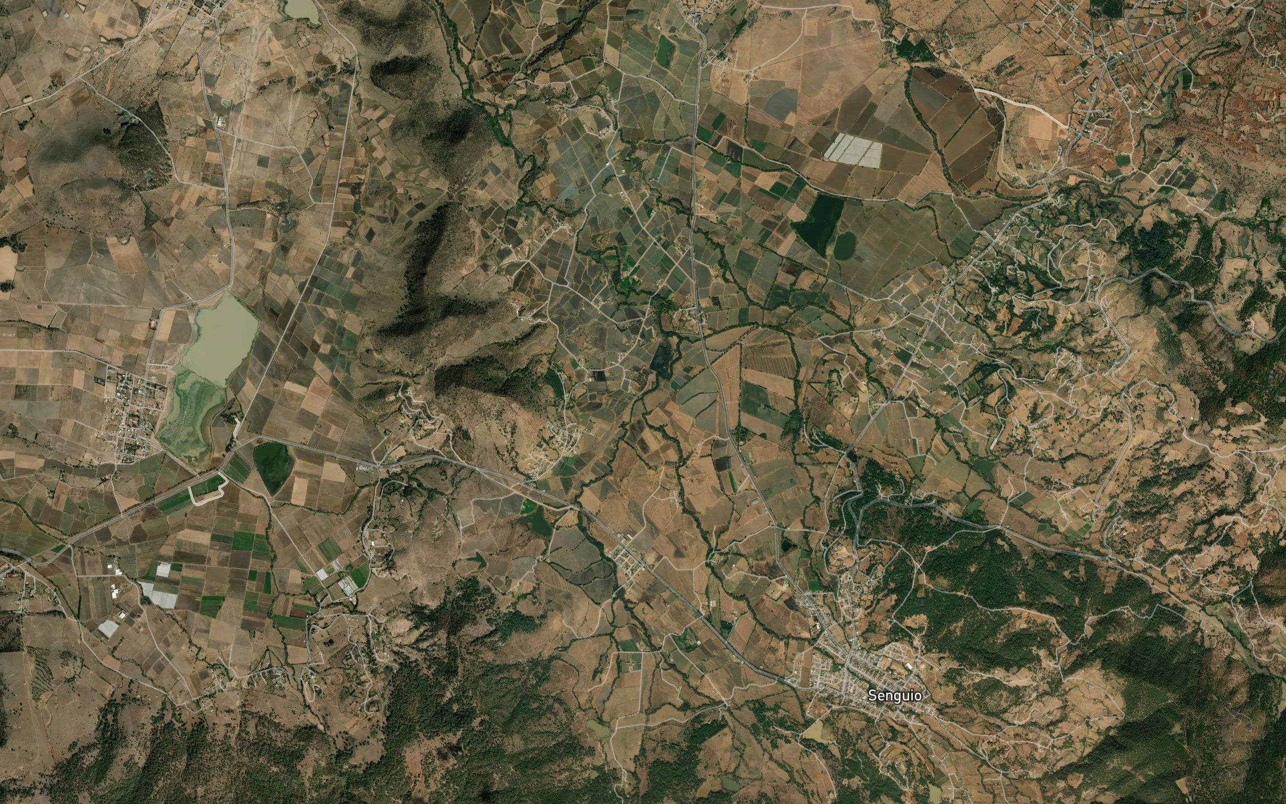 Senguio