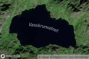 Vasskrunvatnet