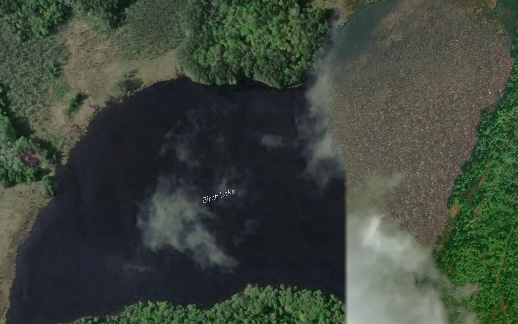 Satellite map of the Birch Lake