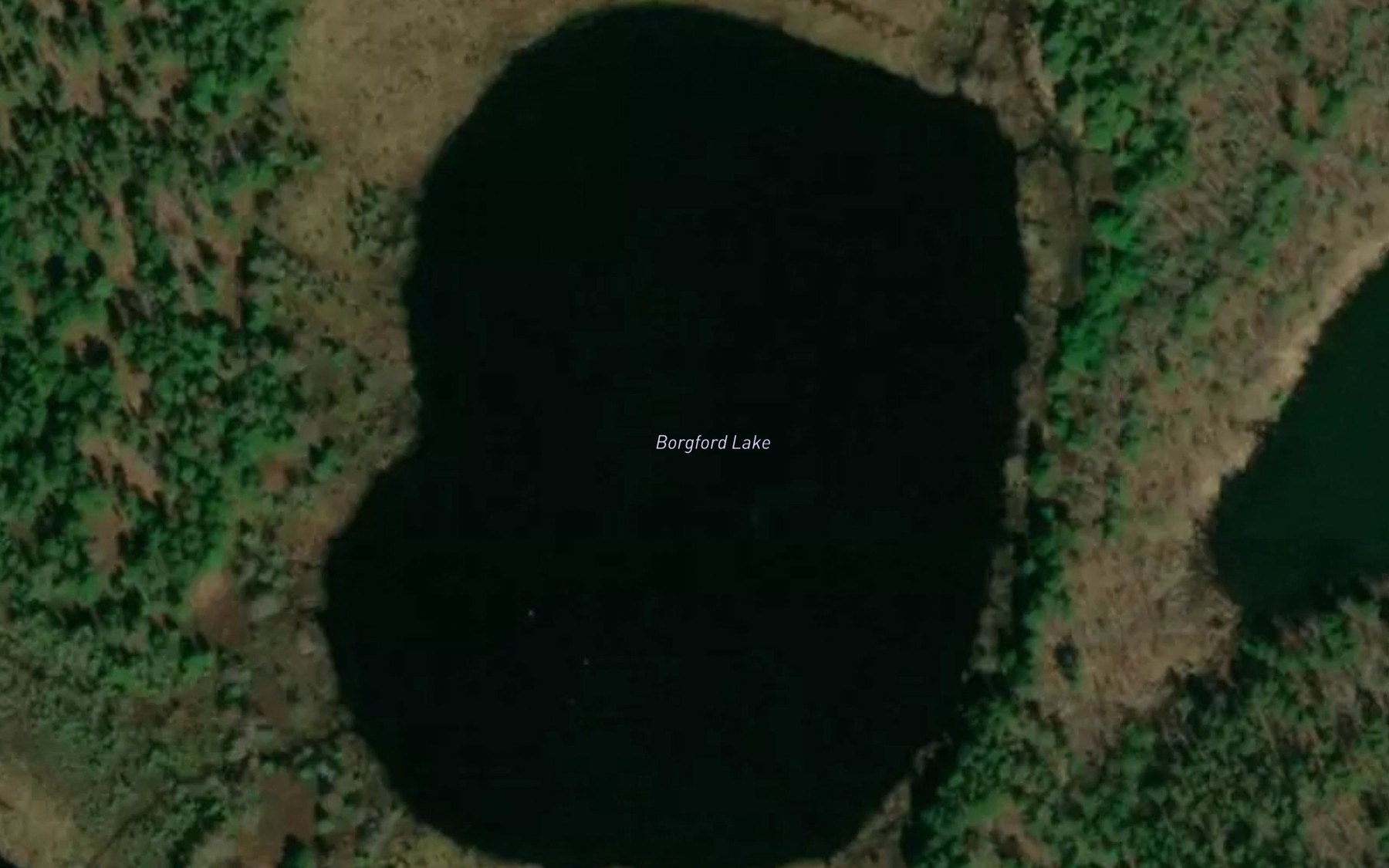 Satellite map of the Borgford Lake