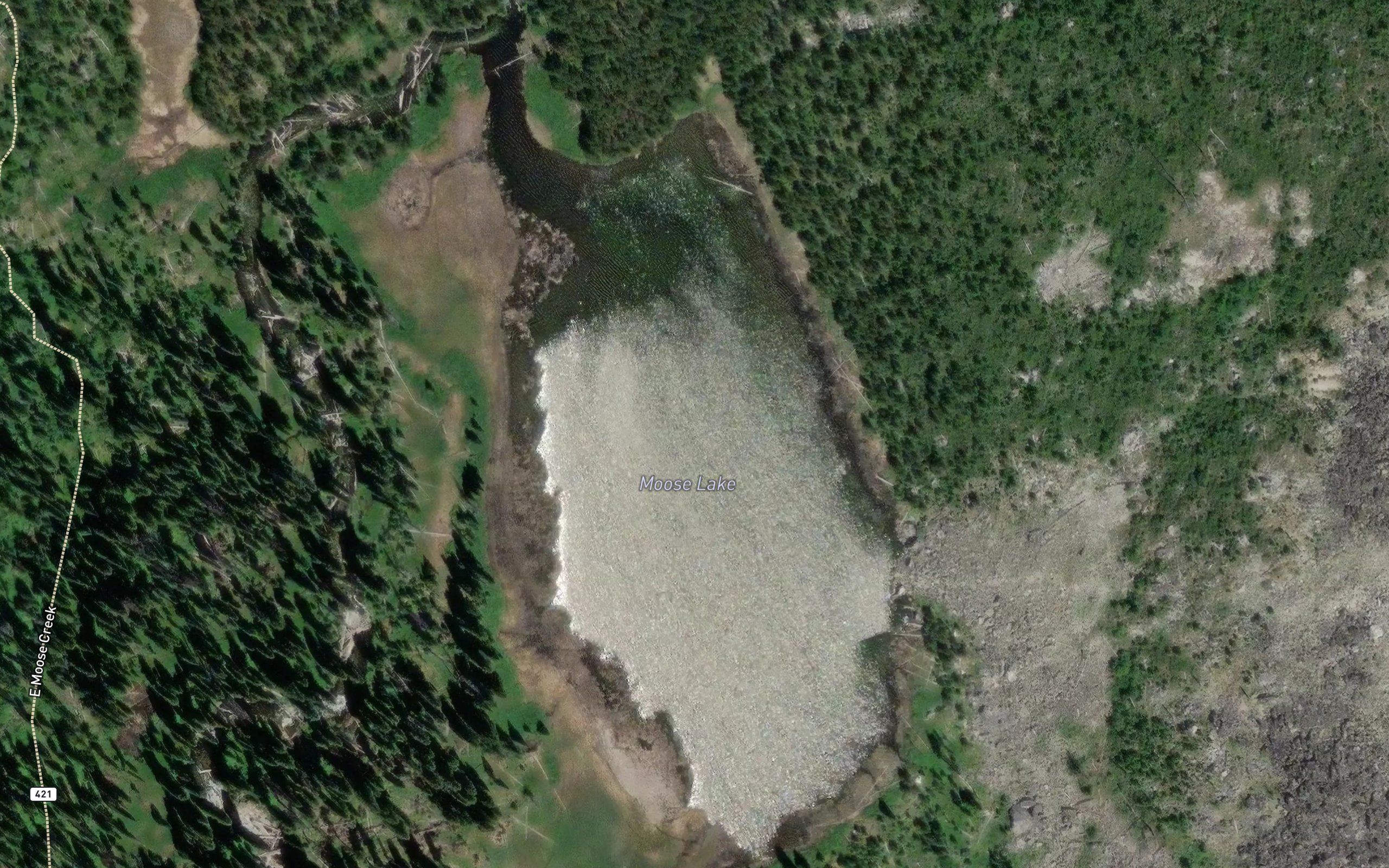 Moose Lake