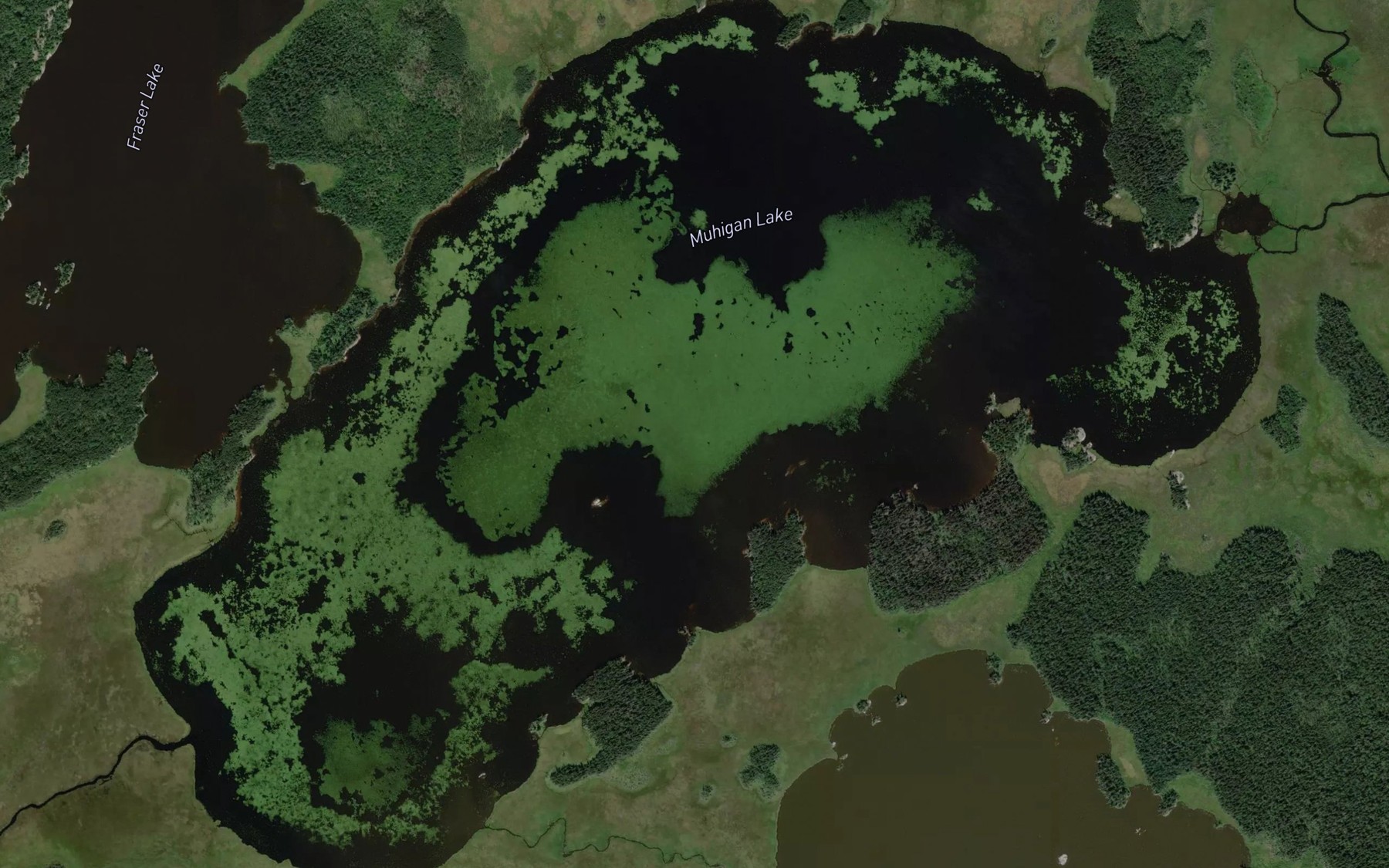 Satellite map of the Muhigan Lake