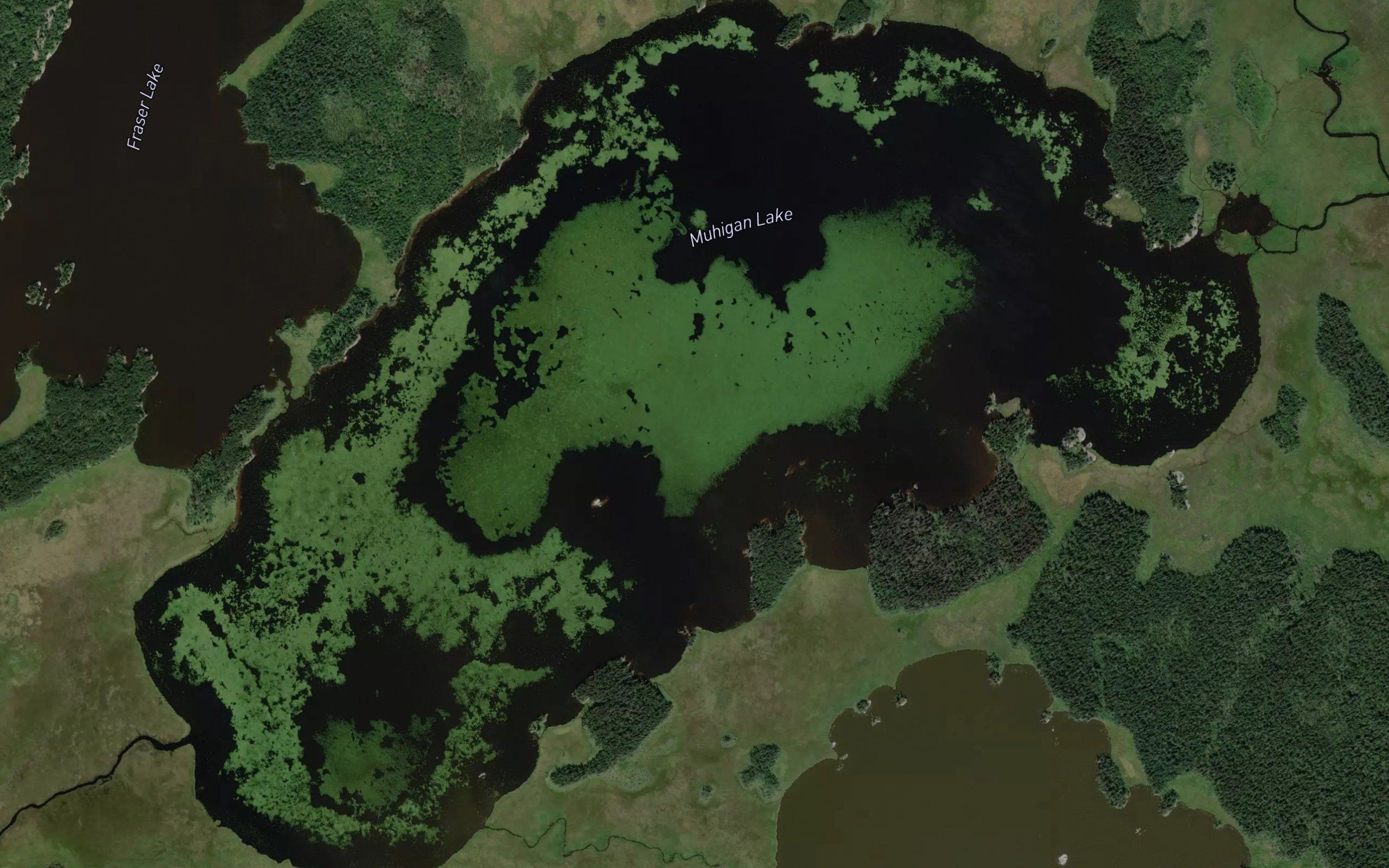 Muhigan Lake