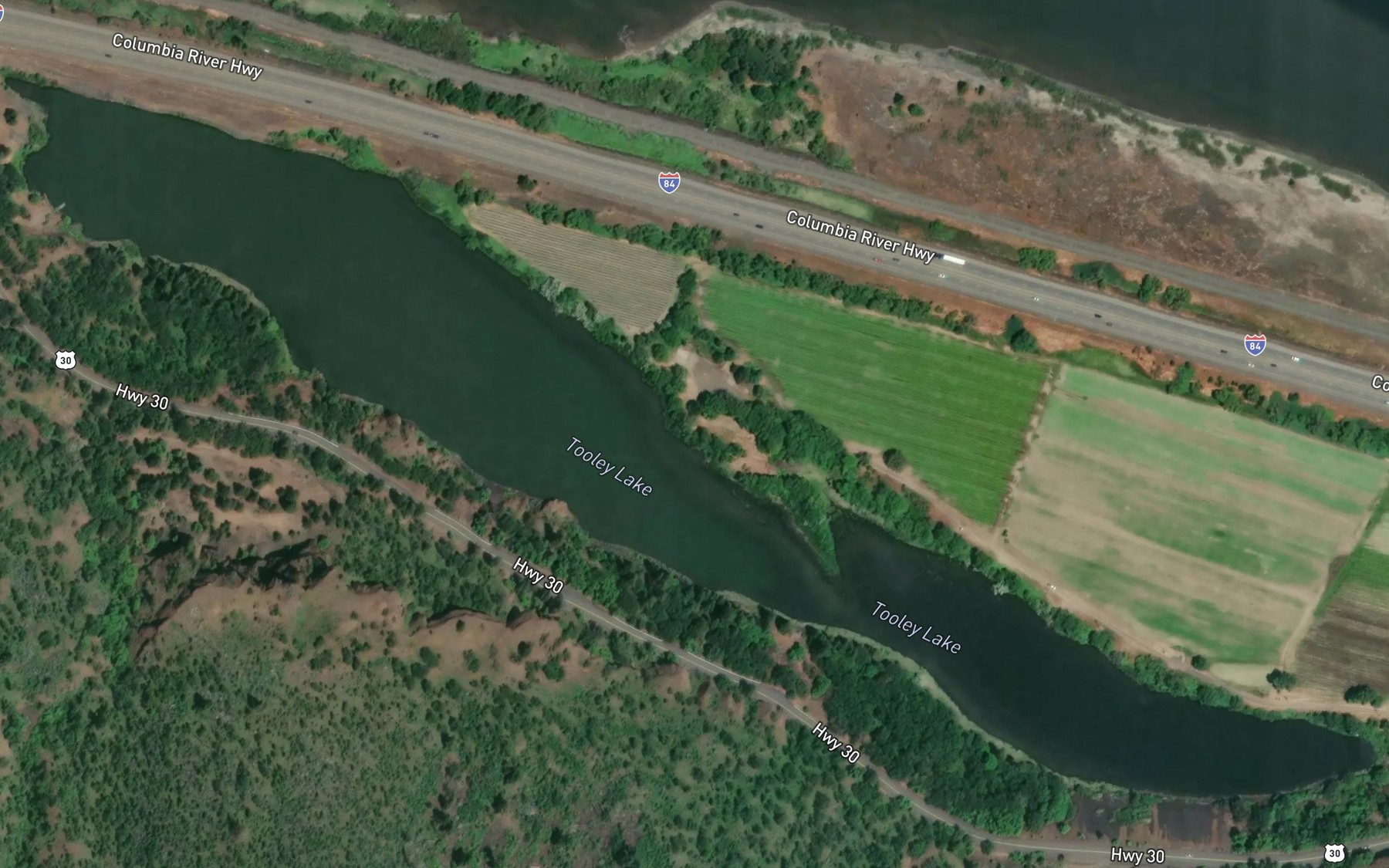 Satellite map of the Tooley Lake
