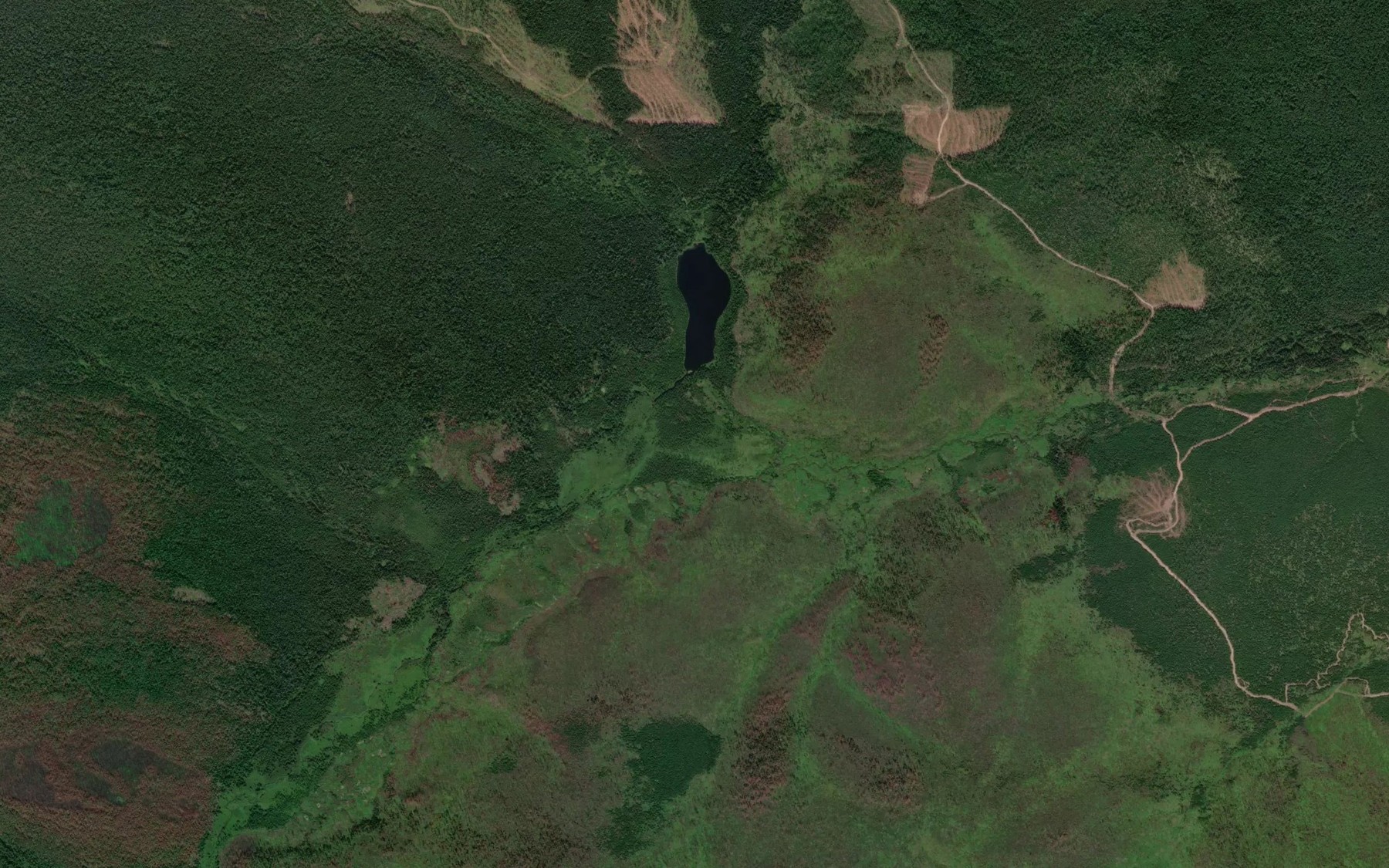 Satellite map of the Taushkon