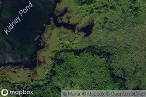 Kidney Pond