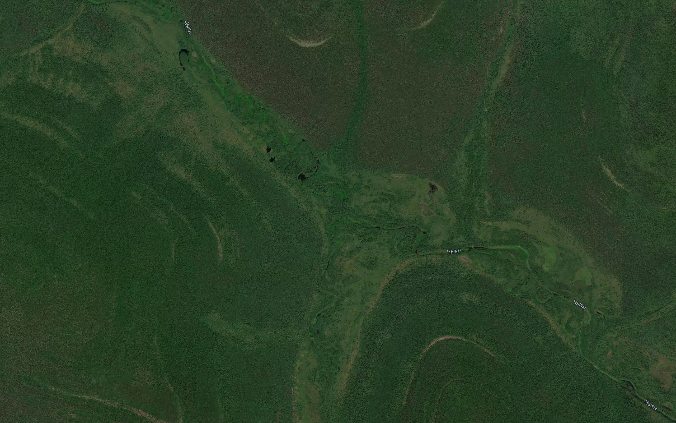 Nyukari