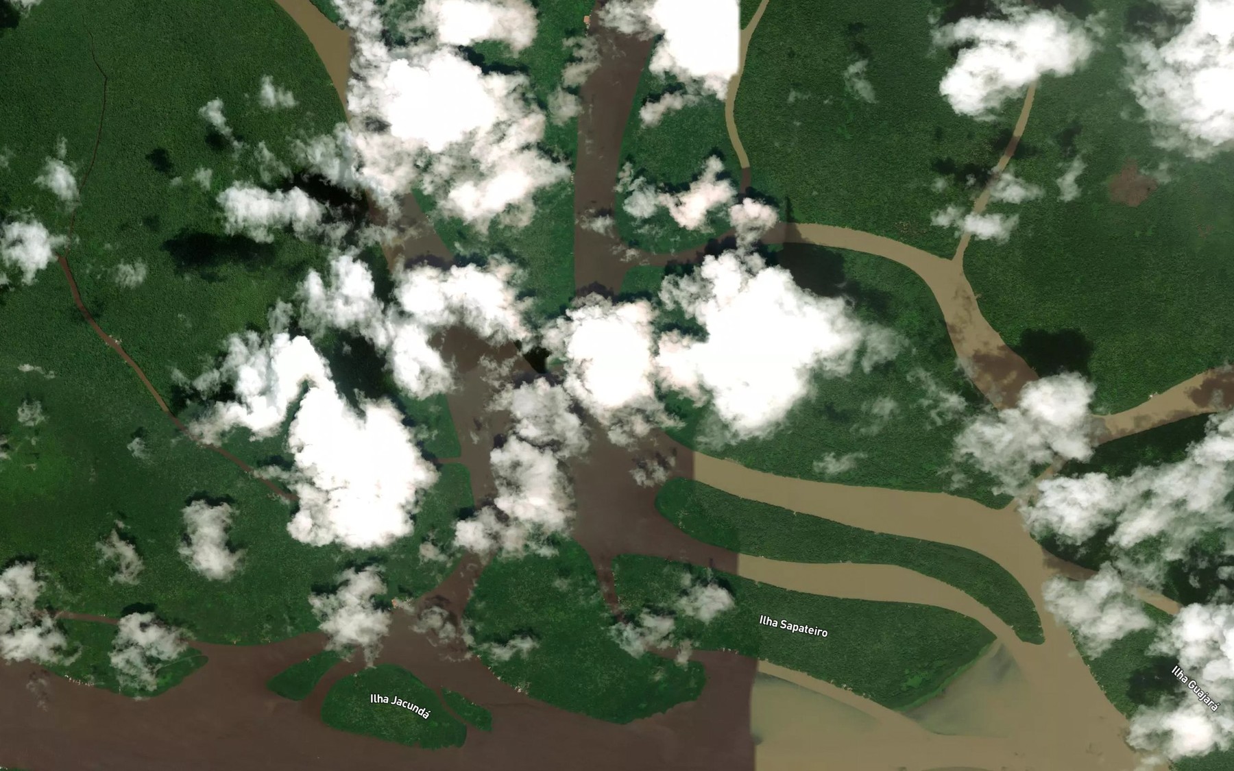 Satellite map of the Rio Guajara