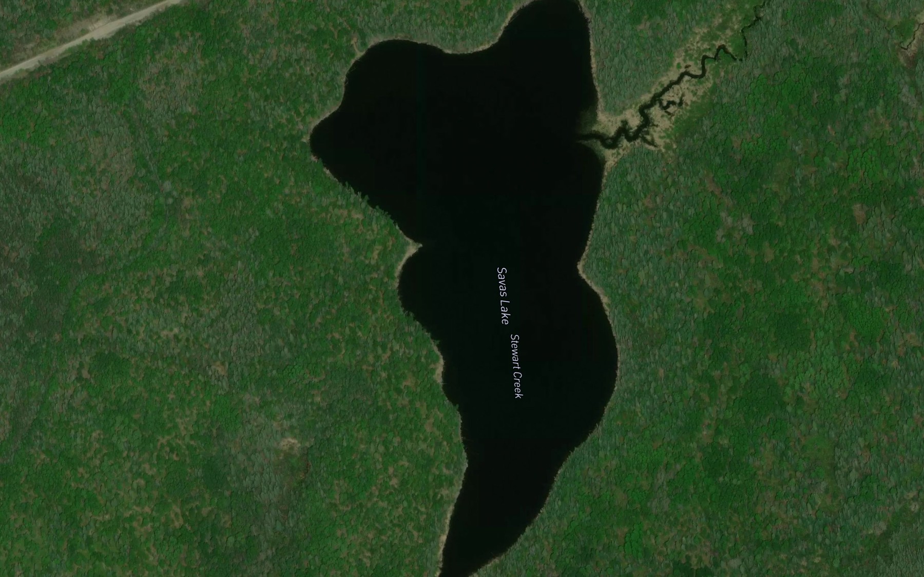 Satellite map of the Savas Lake